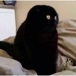 Anh tú ở Phú Bình, Thái Nguyên - Ít noi