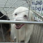 Can nam ở Hải Châu, Đà Nẵng - Ít <br>Nói bí mật