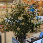 HTN ở Hai Bà Trưng, Hà Nội - :D