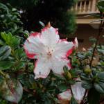 Linh đang tìm bạn hẹn hò qua mạng