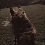 Minh ở Dầu Tiếng, Bình Dương - độc thân