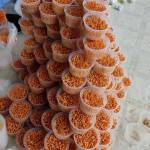 Dinh tung ở Bảo Lâm, Lâm Đồng - Muon tim ban để nc