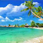 Đại Dương ở Quận 7, TP Hồ Chí Minh - Hài hước, vui vẻ