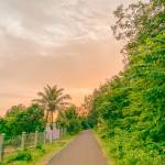 Phạm thanh ở Quận 12, TP Hồ Chí Minh - Thích thể thao