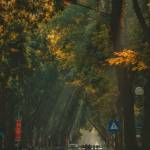 Hung ở Hoàng Mai, Hà Nội - Ít nói