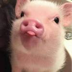 GB Tín ở Krông Pắk, Đắk Lắk - my name is Tín