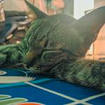 Hy ở Thuận An, Bình Dương - Độc thân, vui vẻ