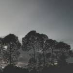 Vinh ở Chợ Mới, An Giang - Cao ráo, vui vẻ, ưa nhìn