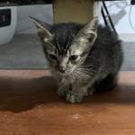 Fwb ons ở Hà Đông, Hà Nội - Kín đáo lịch sự nhẹ nhàng