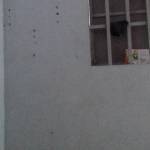 Nguyen nha ở Đồng Xoài, Bình Phước - Vui vẽ Hòa Bình đồng