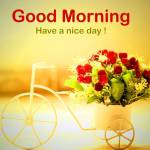 Ut ở Quận 4, TP Hồ Chí Minh - Hiền lành.