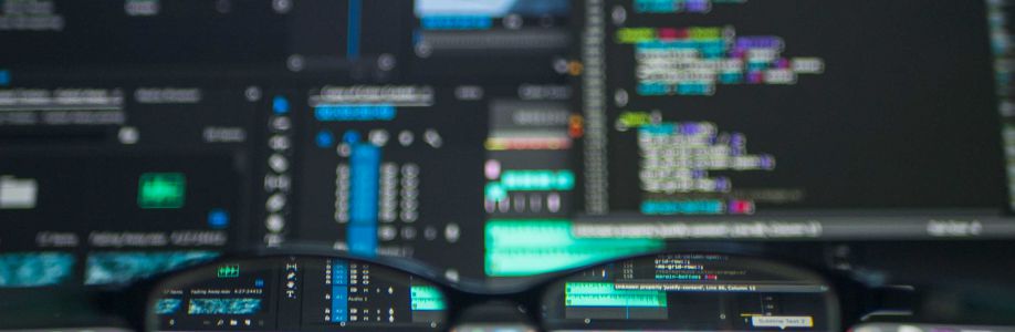 Bùi Tùng Lâm Cover Image