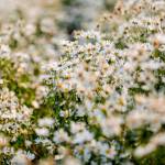 Nguyên ở Quận 12, TP Hồ Chí Minh - Tìm bạn trò chuyện, cùng nhau 