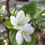 Hoàng Linh ở Tân Bình, TP Hồ Chí Minh - Bình thường