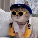 Huy ở Ba Đình, Hà Nội - FWB