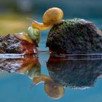 Vũ T ở An Khê, Gia Lai - nam 175