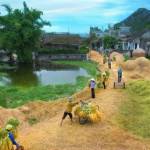 Trung2021 ở Nha Trang, Khánh Hòa - Yêu tình dục