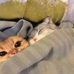 Long ở Đống Đa, Hà Nội - Tìm fwb ons