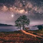 Quang ở Long Thành, Đồng Nai - Vui