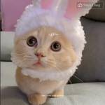 Nguyễn Ngọ ở Bà Rịa, Bà Rịa - Vũng Tàu - Mong muốn tìm bạn qh lâu và dà