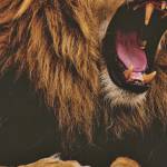 Tang hoài  ở Châu Thành, Bến Tre - Thích cái đẹp sạch sẽ