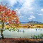 Đang ở Cà Mau, Cà Mau - Vui ve. Hoà đồng