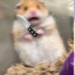 Da ở Quận 1, TP Hồ Chí Minh - Kiếm fwb ons Sài Gòn