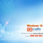 Vinh ở Bà Rịa, Bà Rịa - Vũng Tàu - manh me hoa dong vui ve nhiet 