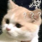 Long ở Tứ Kỳ, Hải Dương - Vui vẻ hoà đồng và biết Rap , 