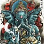 Hau ở An Biên, Kiên Giang - Dễ gần