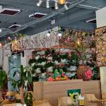 Hoang ly ở Mê Linh, Hà Nội - Kỹ su