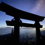 Tuấn ở Quận 9, TP Hồ Chí Minh - Mình ổn