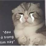 Lâm ở Bảo Lâm, Lâm Đồng - Thích chị