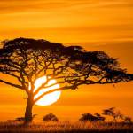 Van Do Ngu ở Hà Đông, Hà Nội - Mình đang tìm Fwb&Ons nên 