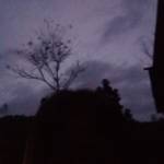 Bình - tim ban trai da ly hon qua so dien thoai