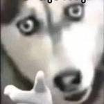 Kiên ở Quận 3, TP Hồ Chí Minh - Hay