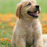 Huy ở Quận 1, TP Hồ Chí Minh - khá bận và muốn tìm người thỏa