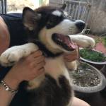 love đang tìm bạn hẹn hò qua mạng