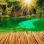 Tuan ở Thủ Đức, TP Hồ Chí Minh - Hoa dong - Vui ve