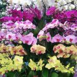 Phạm Văn H ở Tân Bình, TP Hồ Chí Minh - Hòa đồng vui vẻ