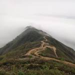 Phạm Quang ở Hà Đông, Hà Nội - Tìm fwb ons hà nội