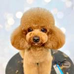 Trần Thị M ở Phú Nhuận, TP Hồ Chí Minh - Nét mặt ưa nhìn, trắng, cv ổn 