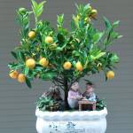 hoang ở Ngũ Hành Sơn, Đà Nẵng - Vui vẻ hòa đồng