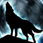 Như Anh ở Châu Đức, Bà Rịa - Vũng Tàu - hợp là ok