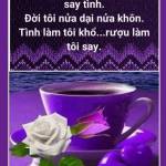 ShareaTN ở Nho Quan, Ninh Bình - Sống vươn lên Theo kịp ánh ban