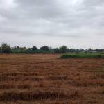 Quang Trun ở Vĩnh Long, Vĩnh Long - Hoà đồng vui vẻ