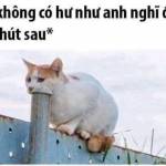 Hoàn nho đang tìm bạn hẹn hò qua mạng