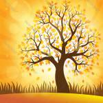 tim ban gay top bot To mo