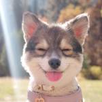 Huy huy nguyen - tim ban trai da ly hon qua so dien thoai