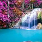 phuc ở Thủ Đức, TP Hồ Chí Minh - vui ve , lich su